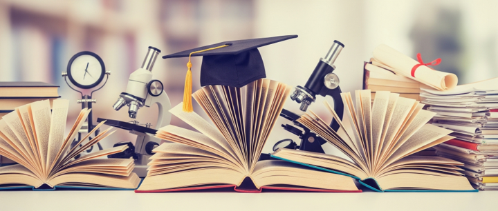 Education Sector